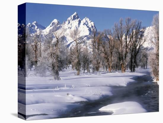 Grand Teton National Park Covered in Snow, Wyoming, USA-Scott T. Smith-Premier Image Canvas