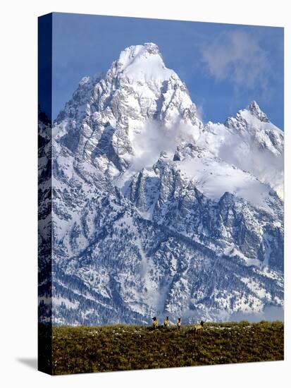 Grand Teton National Park V-Ike Leahy-Premier Image Canvas