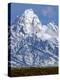 Grand Teton National Park V-Ike Leahy-Premier Image Canvas