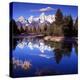 Grand Teton National Park VII-Ike Leahy-Premier Image Canvas