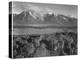 Grand Teton, National Park Wyoming, Geology, Geological 1933-1942-Ansel Adams-Stretched Canvas