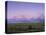 Grand Teton National Park, Wyoming, USA-R Mcleod-Premier Image Canvas