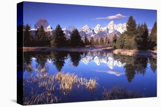Grand Teton National Park XII-Ike Leahy-Premier Image Canvas