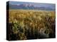 Grand Teton National Park-Scott T. Smith-Premier Image Canvas