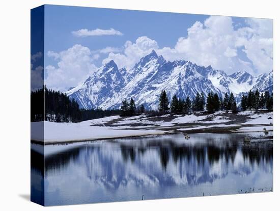 Grand Teton Reflected in Lake-Chris Rogers-Premier Image Canvas