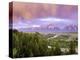 Grand Tetons-Art Wolfe-Premier Image Canvas