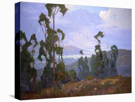 Grand Vista-Elmer Wachtel-Stretched Canvas