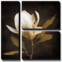 Grandeur-Ily Szilagyi-Stretched Canvas