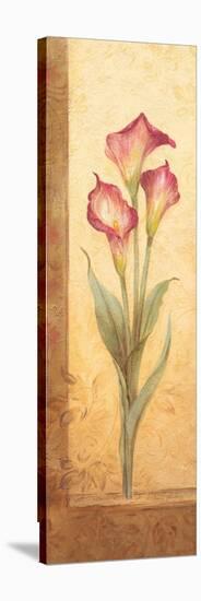 Grandiflora III-Pamela Gladding-Stretched Canvas