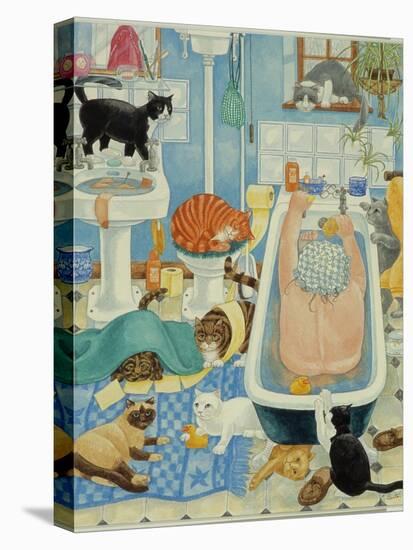 Grandma and 10 cats in the bathroom-Linda Benton-Premier Image Canvas