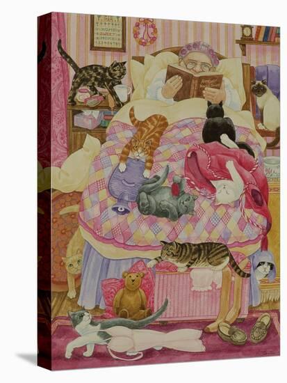 Grandma and 10 cats in the bedroom-Linda Benton-Premier Image Canvas