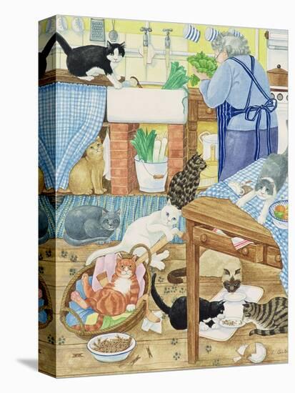 Grandma and 10 Cats in the Kitchen-Linda Benton-Premier Image Canvas