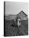 Grandpa and 4 Year Old Granddaughter, on Morning Chores, to Feed Pigs on Nearby Lot-Gordon Parks-Premier Image Canvas