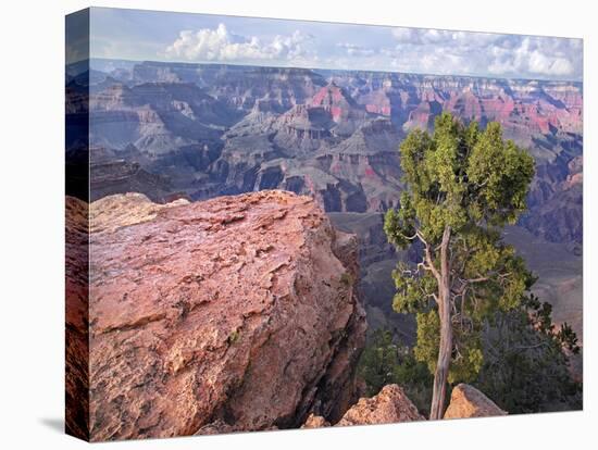 Grandview Point-Ken Bremer-Stretched Canvas