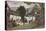 Grange over Sands: ‘Wilson’S’ Farm, Lindale, 1875-null-Premier Image Canvas