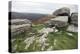 Granite Boulders on Tor Overlooking Dart Valley, Dartmoor Nat'l Pk, Devon, England, UK-David Lomax-Premier Image Canvas
