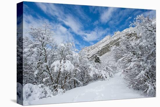 Granite Cliffs at Mouth of Little Cottonwood Canyon and Trees, Utah-Howie Garber-Premier Image Canvas