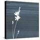 Granite Flower-Jace Grey-Stretched Canvas