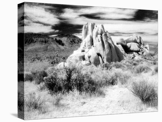 Granite Formation, Joshua Tree National Park, California, USA-Janell Davidson-Premier Image Canvas
