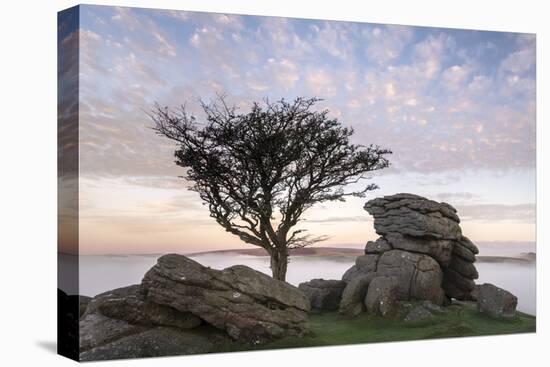 Granite outcrop at Holwell Tor, Dartmoor NP, Devon, UK-Ross Hoddinott-Premier Image Canvas