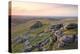 Granite outcrops at Black Tor on a summer evening, Dartmoor National Park, Devon, England. Summer (-Adam Burton-Premier Image Canvas