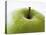 Granny Smith Apple-Dieter Heinemann-Premier Image Canvas