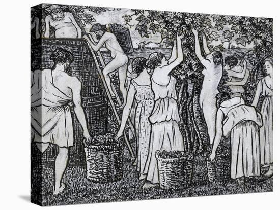 Grape Harvest-Camille Pissarro-Premier Image Canvas