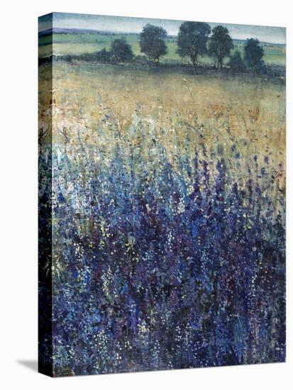 Grape Seeds And Blueberries-Tim O'toole-Premier Image Canvas