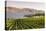 Grape Vines and Okanagan Lake at Quails Gate Winery-Michael DeFreitas-Premier Image Canvas