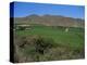 Grape Vines in the Valle De Elqui, Chile, South America-Aaron McCoy-Premier Image Canvas