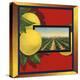 Grapefruit and Orchard - Citrus Crate Label-Lantern Press-Stretched Canvas