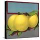 Grapefruit Branch - Citrus Crate Label-Lantern Press-Stretched Canvas