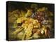 Grapes, Bearded Wheat and Strawberries on a Rocky Ledge-Saint-Jean Simon-Premier Image Canvas