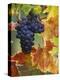 Grapes on a Vine-Merrill Images-Premier Image Canvas