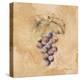 Grapes Square-Cheri Blum-Stretched Canvas