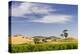 Grapevines and Rolling Hills in the Barossa Valley-Jon Hicks-Premier Image Canvas