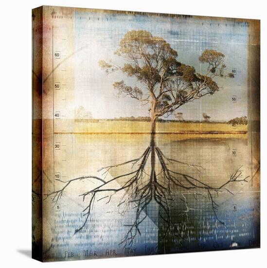 Graph of Tree and Roots-Colin Anderson-Premier Image Canvas