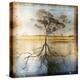 Graph of Tree and Roots-Colin Anderson-Premier Image Canvas