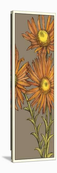 Graphic Flower Panel I-Jennifer Goldberger-Stretched Canvas