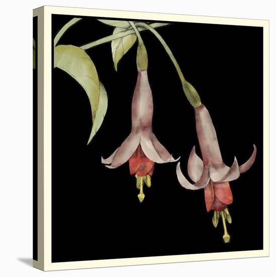Graphic Fuchsia IV-Jennifer Goldberger-Stretched Canvas