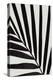 Graphic palm leaf_1-1x Studio III-Premier Image Canvas