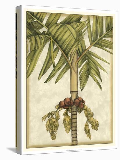 Graphic Palms II-Jennifer Goldberger-Stretched Canvas