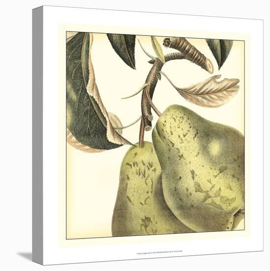 Graphic Pear-Vision Studio-Stretched Canvas