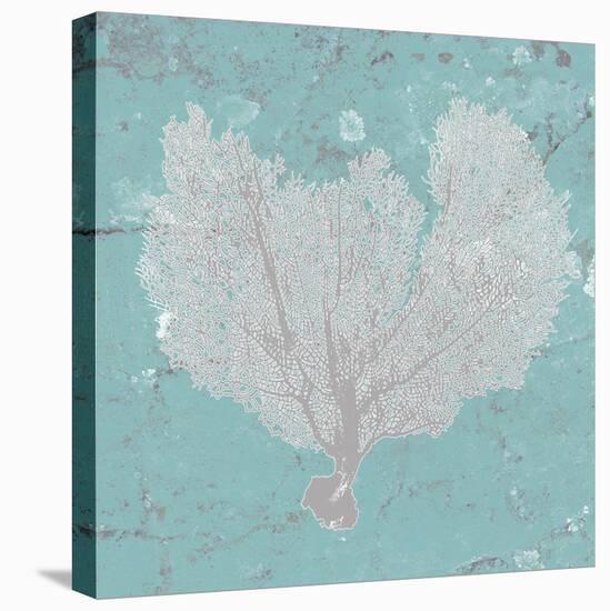 Graphic Sea Fan VI-Studio W-Stretched Canvas