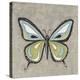Graphic Spring Butterfly I-Jade Reynolds-Stretched Canvas
