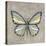 Graphic Spring Butterfly II-Jade Reynolds-Stretched Canvas