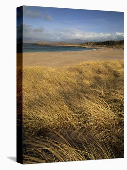 Grass and Sand Dunes on the Coast, Mellon Udridge, Wester Ross, Highlands, Scotland, United Kingdom-Neale Clarke-Premier Image Canvas