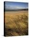 Grass and Sand Dunes on the Coast, Mellon Udridge, Wester Ross, Highlands, Scotland, United Kingdom-Neale Clarke-Premier Image Canvas