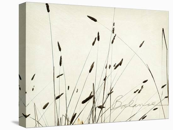 Grass Balance-Amy Melious-Stretched Canvas