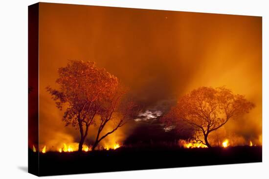 Grass Fire at Night in Pantanal, Brazil-Bence Mate-Premier Image Canvas